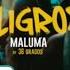 Maluma Peligrosa 1 Hour