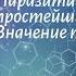 Биология 7 кл Пасечник 36 Паразитические простейшие Значение простейших