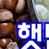 햇밤 알밤 깍아서 아작아작 오래먹는 방법