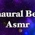 Asmr Triggers Relaxation Feat Binaural Beats Brain Waves Isochronic Tones Brain Wave