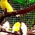 Amazing Bird Breeding Update Finches Canary Budgies Bird Aviary S3 Ep2 Birds Nature Bird