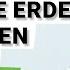 10 Pflanzen Die Keine Erde Benötigen Und Im Wasser Wachsen Hydrokultur