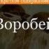 Краткое содержание Воробей