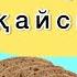 Енді тек осы нанды жеймін Бұл нан денсаулыққа пайдалы Тез көріңіз