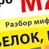 МЯСО БЕЛОК В12 Хищники и травоядные Видовое питание человека