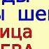 Актуальная всегда для ВСЕХ медитация омоложения сосудов и органов головы матрицей исцеления Гаряева