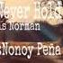 No Arms Can Never Hold You By Chris Norman Cover By Nonoy Peña