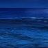 8 Hours Ocean Waves At Night For Deep Sleep Relaxing Tropical Beach At Night For Sleeping