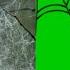 Green Screen Spider Green Screen Spider Web Green Screen Spidernet