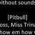 I Party Like A Rockstar Go Girl Pitbull Lyrics