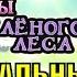 Девочки из Эквестрии 4 Легенды вечнозёленого леса ПРЕМЬЕРА ТРЕЙЛЕР ОФИЦИАЛЬНЫЙ РУССКИЙ ДУБЛЯЖ