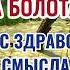 Час Здравого Смысла по Воскресеньям Плач на Болотах