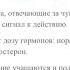 Я в гневе или гнев во мне 2 причины возникновения 1 часть