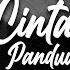 Cinta Vina Panduwinata LIRIK