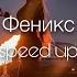 ANNA ASTI Феникс Speed Up