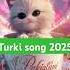 Turkey Song Viralvideo Explore Turkeysong Turkish Turkishsong Turkishseries Songturkish Turk