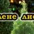 Зелене листя Караоке Українські застольні пісні