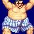 Street Fighter II HQ Voice Clips