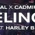 CADMIUM X Rival Feeling It Feat Harley Bird