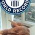 Why He Cut His Nails After 66 Years Guinness World Records