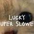 Fuga Pang Lucky Super Slowed