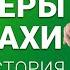 Трейдеры черепахи полная история Как торговали черепахи Ренат Валеев