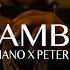 LUCIANO Ft PETER FOX BAMBA Tidey Mashup