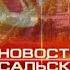 Новости Сальской Степи от 11 10 2024