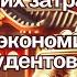 Жизнь в Японии без лишних затрат секреты экономии для студентов