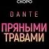 Dante Пряными травами Teaser 6