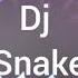 DJ Snake Magenta Riddim