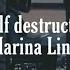 This Is What Self Destruction Feels Like Lyrics Marina Lin