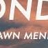 Shawn Mendes Wonder Lyrics