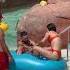 Dream Holiday WaterPark Sunny Day