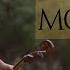 The Last Of The Mohicans Main Theme Official Music Video Tina Guo