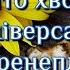 Лікує багато хвороб та бід цей універсальний коренеплід частина 2