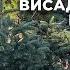 Висаджуємо нові рослинки та наводимо порядок у садочку