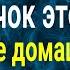 Чистка дома от порчи ругани и болезней Сожгите в доме пучок этой травы