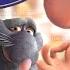 RATATOUILLE ENGLISH FULL MOVIE The Movie Of The Game With Remy The Master Chef Rat