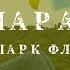 Кабардино Балкария Чегем Полет на параплане