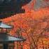 Otagi Nenbutsu Ji Temple In Kyoto During Fall Foliage Autumn