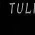 SALAMAT IDOL RAFFY TULFO Lyrics STILL ONE Salamat Sayo Idol Raffy Tulfo