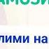 ТАРЗИ ХОНДАНИ НАМОЗ қисми 4 ترز خواندن نماز قسم ٤