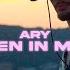 ARY Palmen In Malibu Official Music Video