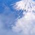 4K Beautiful Mount Fuji Seen From The Window On The Plane From Haneda Airport In Tokyo To Miyazaki