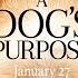 A Dog S Purpose Official Trailer HD