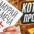 Топ книга которую должен прочитать каждый Самурай без меча