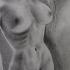 Female Nude Figure Drawing Realistic Drawing Shorts Shortvideo Drawing Painting Nude Female