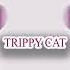 Special After Minimal Techno Mix 2020 Trippy Cat