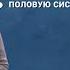 Пагубное воздействие наркотиков на организм человека